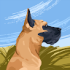 profile_image